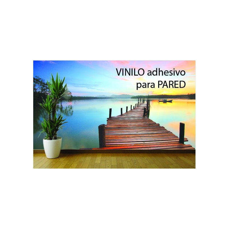 Vinilo - adhesivo - decoracion - paredes - Carteles exterior - Impresión  online